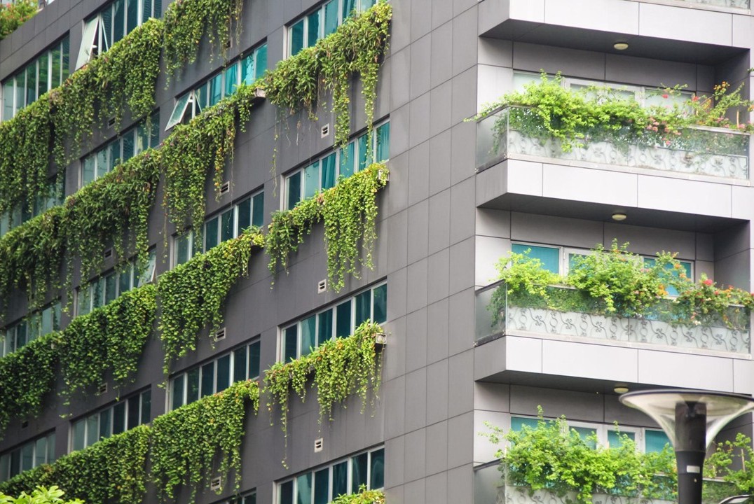 Sustainable Development